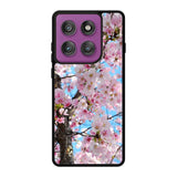 Cherry Blossoms Motorola Moto Edge 60 Pro Case QC0867