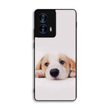 Lonely Dog Motorola Moto G Power 5G 2024 Case OV2970
