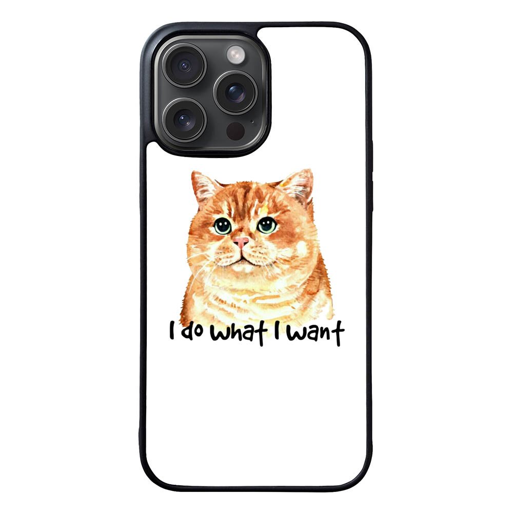 I do what what FLN0119 iPhone 15 Pro Max Case