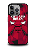chicago bulls iPhone 16 Pro Max Case OV10680
