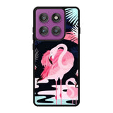flamingo WMotorola Moto Edge 60 Pro Case OV1741