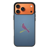 Cardinal Louis iPhone 17 Pro Case QC9226