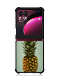 Psych Fruits Motorola Moto Razr Plus 2023 , Moto Razr+ 2023 Case OV2801