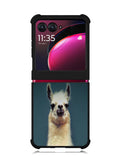 Animal Llama Motorola Moto Razr Plus 2023 , Moto Razr+ 2023 Case