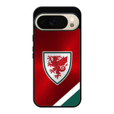 Wales Football Team Google Pixel 10 Pro Case OV10193