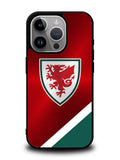 Wales Football Team iPhone 16 Pro Case OV10193