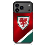 Wales Football Team iPhone 17 Pro Case RC10193