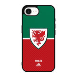 Wales Football Team iPhone 17e Case OV10195