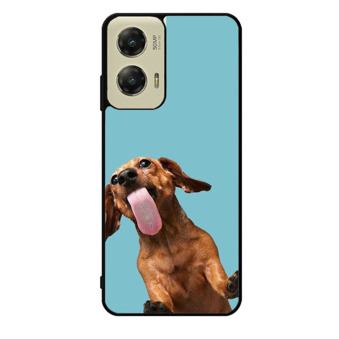 The funny thing is the dog on the glass Motorola Moto G Stylus 5G 2024 Case OV0333