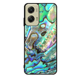 The Great Abalone Motorola Moto G Stylus 5G 2024 Case OV7687