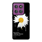 Daisy Melt Spring Season FLP5003 Motorola Moto Edge 60 Pro Case