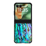 Abalone Motorola Moto RAZR 2025 Case OV3739