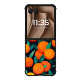 Orange Fruits Pattern Motorola Moto RAZR Plus 2025 Case OV10786