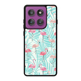 Flamingo Pattern Tropical Motorola Moto Edge 60 Pro Case QC10856