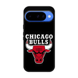 Chicago Bulls NBA Google Pixel 10 Case OV10684